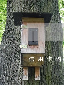 信用卡逾期催收力度大吗