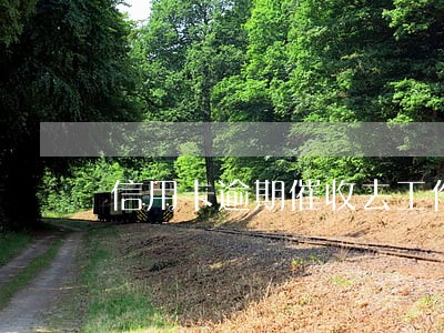 信用卡逾期催收去工作单位 信用卡逾期催收去工作单位