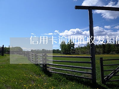 信用卡逾期催收发短信说立案 信用卡逾期催收发短信说立案