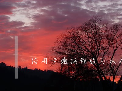 信用卡逾期催收可以找孩子吗