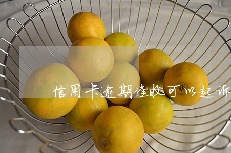 信用卡逾期催收可以起诉吗 信用卡逾期催收可以起诉吗