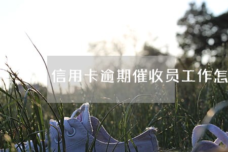 信用卡逾期催收员工作怎么样