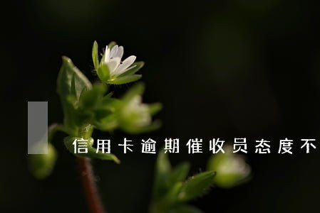信用卡逾期催收员态度不好