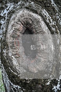 信用卡逾期催收员经历 信用卡逾期催收员经历