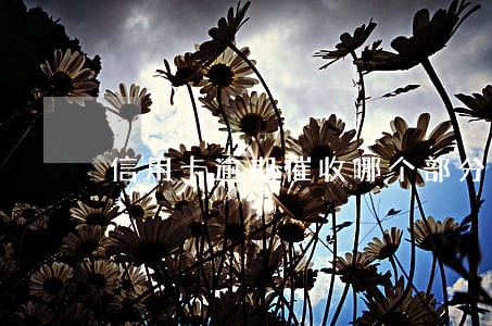 信用卡逾期催收哪个部分