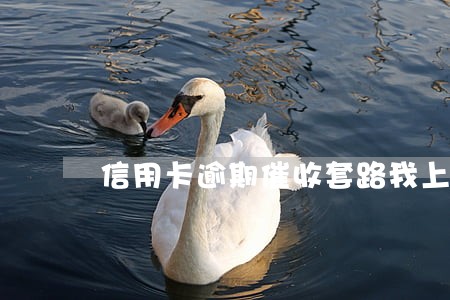 信用卡逾期催收套路我上传照片 信用卡逾期催收套路我上传照片
