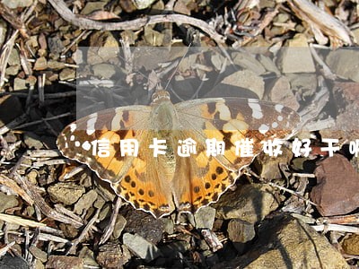 信用卡逾期催收好干嘛 信用卡逾期催收好干嘛
