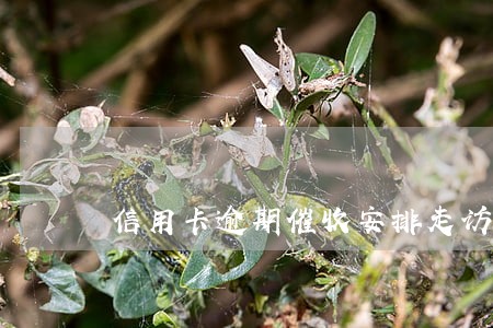 信用卡逾期催收安排走访
