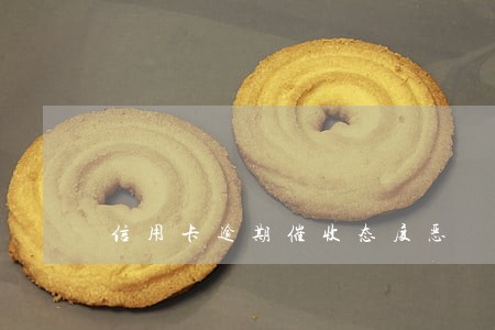 信用卡逾期催收态度恶