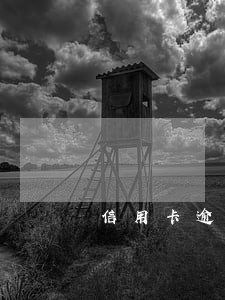 信用卡逾期催收怎么调整心情 信用卡逾期催收怎么调整心情