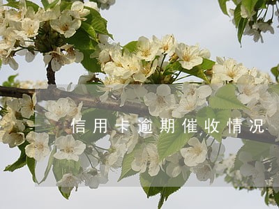 信用卡逾期催收情况 信用卡逾期催收情况