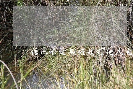 信用卡逾期催收打他人电话 信用卡逾期催收打他人电话