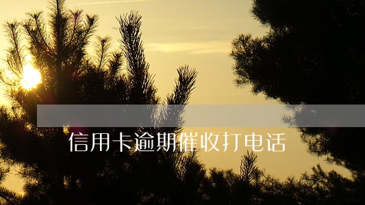 信用卡逾期催收打电话