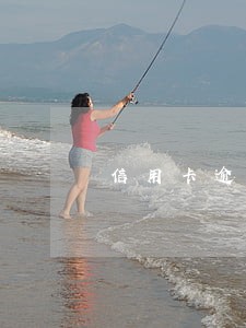 信用卡逾期催收打电话要立案