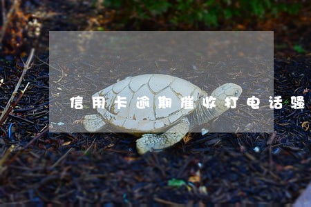 信用卡逾期催收打电话骚扰家人