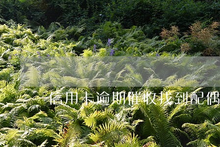 信用卡逾期催收找到配偶单位 信用卡逾期催收找到配偶单位