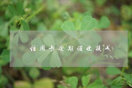 信用卡逾期催收提成 信用卡逾期催收提成