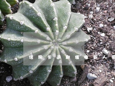 信用卡逾期催收新人录音培训 信用卡逾期催收新人录音培训