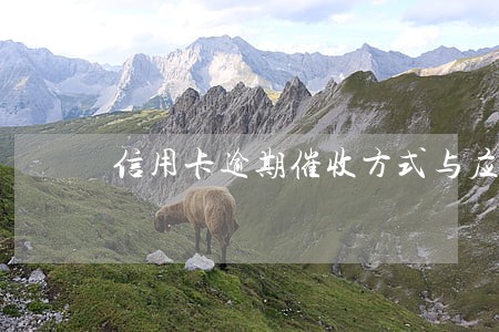 信用卡逾期催收方式与应对 信用卡逾期催收方式与应对