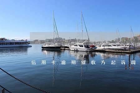 信用卡逾期催收方起诉调查吗 信用卡逾期催收方起诉调查吗
