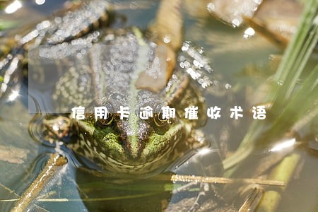 信用卡逾期催收术语 信用卡逾期催收术语