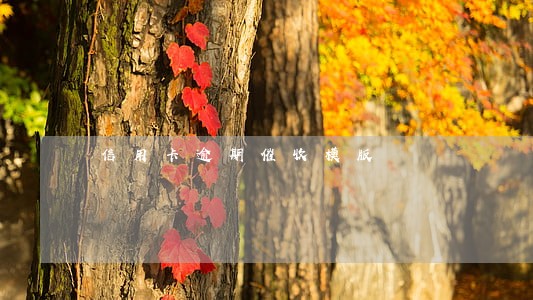 信用卡逾期催收模版 信用卡逾期催收模版