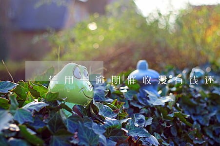 信用卡逾期催收没有钱还 信用卡逾期催收没有钱还
