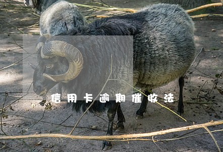 信用卡逾期催收法