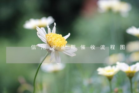 信用卡逾期催收流程图 信用卡逾期催收流程图