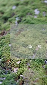 信用卡逾期催收爆通讯录