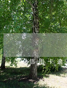 信用卡逾期催收电话不接