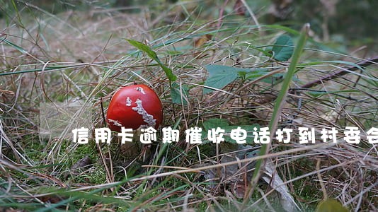 信用卡逾期催收电话打到村委会 信用卡逾期催收电话打到村委会