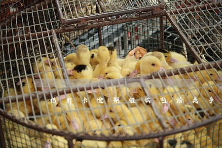 信用卡逾期催收电话是多少 信用卡逾期催收电话是多少