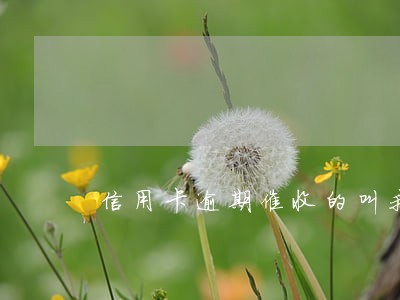 信用卡逾期催收的叫我去银行