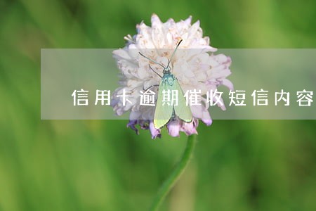 信用卡逾期催收短信内容