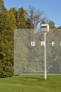信用卡逾期催收给同事打电话 信用卡逾期催收给同事打电话