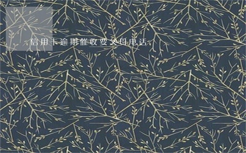 信用卡逾期催收要父母电话 信用卡逾期催收要父母电话