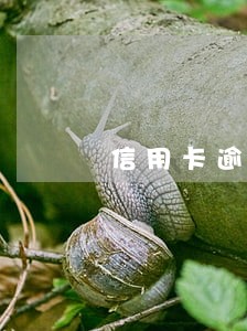 信用卡逾期催收见面