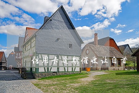 信用卡逾期催收让自首 信用卡逾期催收让自首