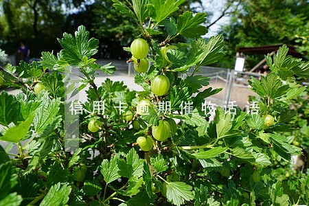 信用卡逾期催收话语 信用卡逾期催收话语
