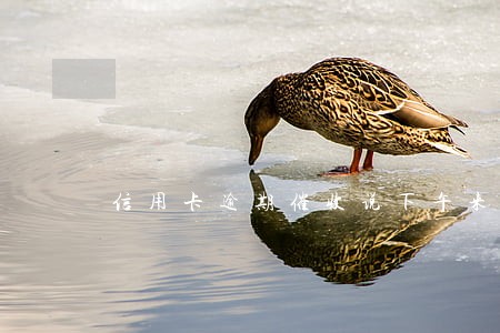 信用卡逾期催收说下午来我家 信用卡逾期催收说下午来我家