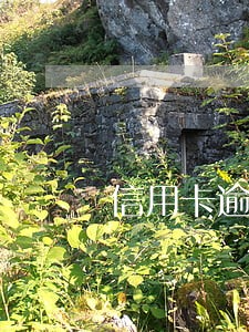 信用卡逾期催收说只还本金 信用卡逾期催收说只还本金