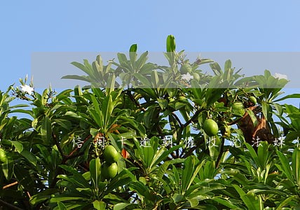 信用卡逾期催收说法媒体 信用卡逾期催收说法媒体