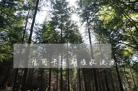 信用卡逾期催收说要上家 信用卡逾期催收说要上家