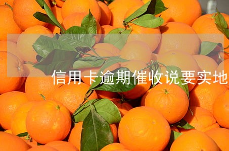 信用卡逾期催收说要实地清收 信用卡逾期催收说要实地清收