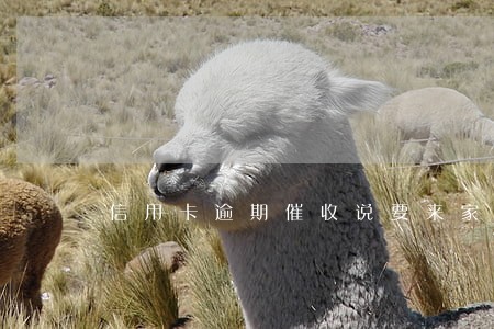 信用卡逾期催收说要来家里 信用卡逾期催收说要来家里