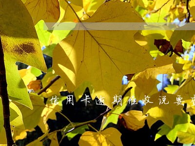 信用卡逾期催收说要查账 信用卡逾期催收说要查账