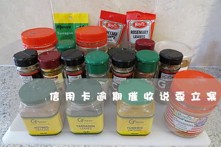 信用卡逾期催收说要立案