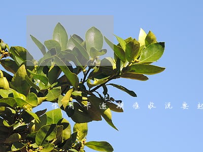 信用卡逾期催收说要起诉我 信用卡逾期催收说要起诉我