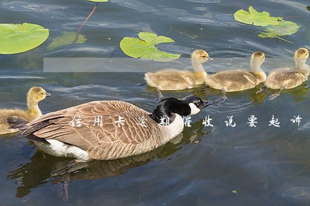 信用卡逾期催收说要起诉是真的吗 信用卡逾期催收说要起诉是真的吗